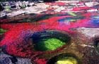 Cao de Cristales Photo