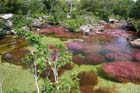 Cao de Cristales, Colombia