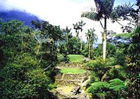 Ruins of Ciudad Perdida, Colombia