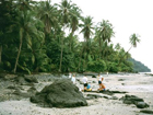 Gorgona Island, Colombia