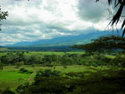 Llanos Scenery