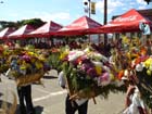 Medellin Flower Festival